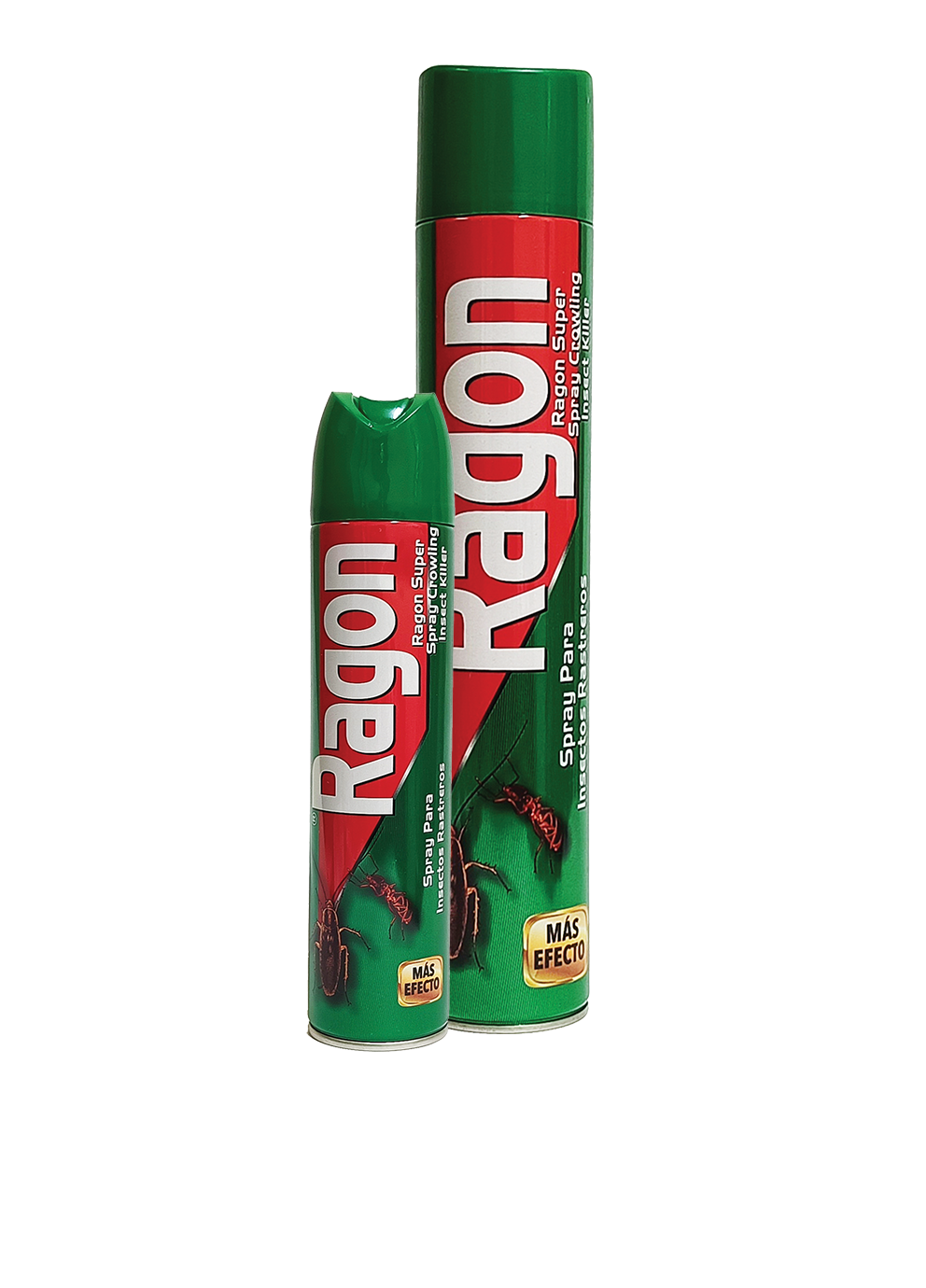 RAGON PARA INSCETOS TERRESTRES